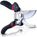 Pruning Shears