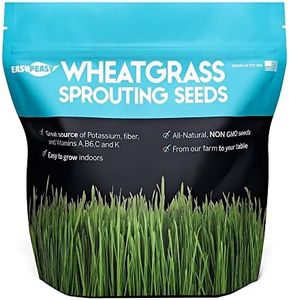 Wheatgrass