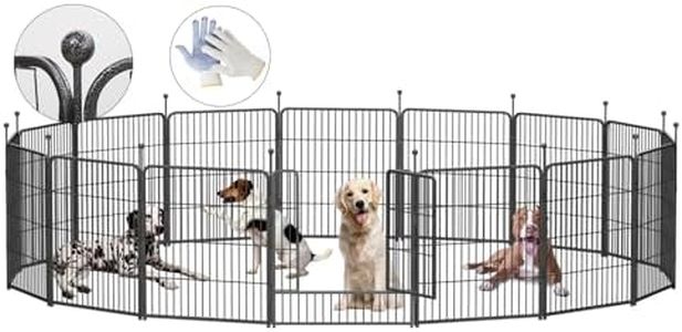 Dog Plaype