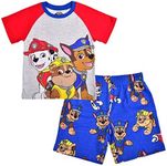 Nickelodeon Boy's 2-Piece Paw Patrol Raglan Tshirt and Short Set, Grey/Blue, Size 3T