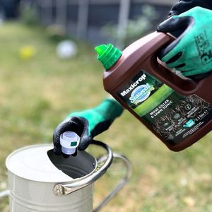 Maxicrop Moss Killer & Lawn Tonic, 2.5L – Green