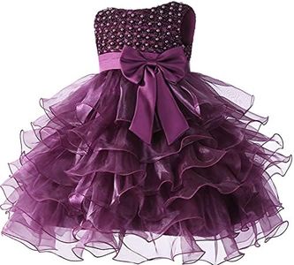 Jup Elle Baby Girl Dresses Ruffle Lace Pageant Party Wedding Flower Girl Dress, Margarite Dark Purple, 12 Months