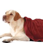 Sassoon Medium Pet Towels | Ultra Soft & Microfiber | Quick Drying | Machine Washable | Colour - Crimson (Pack of 1)