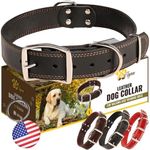 ADITYNA Heavy Duty Leather Dog Coll