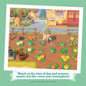 Animal Crossing: New Horizons – Nintendo Switch Game