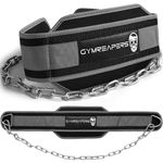 Gymreapers Dip Belt With Chain For Weightlifting, Pull Ups, Dips - Heavy Duty Steel Chain For Added Weight Training (Gray)