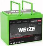 WEIZE 12V 