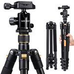 K&F Concept Camera Tripod, 64 inch Professional Aluminum Tripod with Ball Head Quick Release Plate Compatible with Canon Nikon Sony Pentax Leica Fuji Lumix Olympus DSLR Camera Light-weight B234A1 (TM2324)