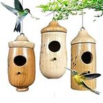 Shirem Wooden Hummingbird House,Dot