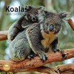 2025 Koalas Monthly Wall Calendar by Bright Day, 12 x 12 Inch Cute Nature Photography Gift