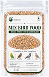 Sujavan Outdoor Bird Feed Mix - 2KG | Bajra, Jowar, Corn & Kangni Blend | Bird Food for Pigeons, Sparrows, Doves & Wild Birds | Balcony Feeding Seed Mix