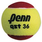 Penn QST 36 Felt Tennis Ball in Polybag, 12 Balls