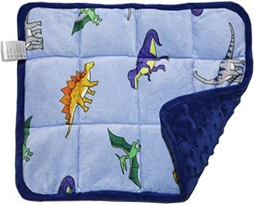 MAXTID Kids Weightd Lap Pad 12"x18" 2lb Mini Lap Pad Blanket for Kids, Blue Dinosaur