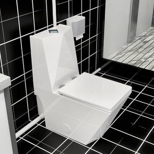 Wonchael Basement Upflush Toilet, 450W Macerator Pump, Dual Flush