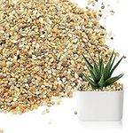 Coarse Sand Stone - Succulents and 