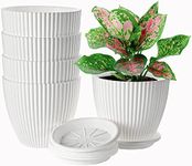 Plant Pots, Chuanju 6 inch Plastic Flower Pots Seedling Nursery Pots with Drainage Hole and Saucers for All House Plants, Nursery Planter Indoor Outdoor Garden Home Decor, 5 Pack