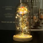 NAWEIDA Galaxy Rose Flower, Infinity Rose in Glass Dome, Beauty and The Beast Rose Led Light String on Galaxy Rose Flower for Women Her Girlfriend Grandma Wife Sister Valentines Anniversary