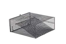 Frabill Crawfish Trap (Black 12 x 12 x 5-Inch Flat)