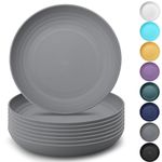 Kyraton Large Deep Plastic Plates 8 Pieces, 9 Inch Dinner Plates, Unbreakable and Reusable Light Weight Dinner Plates Pasta and Dumpling Bowl Microwave Safe