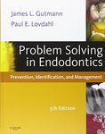 Problem Solving in Endodontics: Prevention, Identification and Management