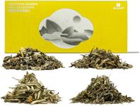 iTeaworld Jasmine Green Tea Loose Leaf Samplers Set, With Different Flowery Aromas, No Sweetener, Sweet After Taste, 4 Different Grades of Jasmine Tea Loose Leaf, 16 Pack/56g