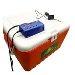 HatchPro Plastic 35 36 Egg Incubator Automatic | Mini Egg Hatching Machine Updated With Rb20 Controller, Red