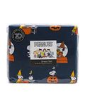 Peanuts Sheet and Pillowcase Sets