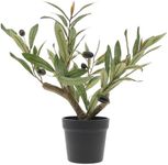 Quancru 37cm Artificial Olive Tree Small Fake Olive Tree Plants with Black Pot Faux Olive Greenery for Home Office Hotel Table Shelf Decor