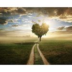 Pitaara Box Heart Shaped Tree D1 | Canvas Painting for Bedroom & Living Room | Engineered Wood Frame | 22.5 x 18 inch (57 x 46 cms)