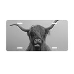 Smoaffly License Plate,Highland Cow Decorative Car Front,Metal Car Plate,License Plate,Vanity Tag,Aluminum Noverlty License Plate for Men/Women/Boy/Girls Car 6×12 Inch