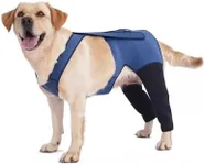 Dog Hind Leg Recovery Sleeve Dog Re