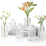 ComSaf Glass Bud Vases Set of 6, Small Clear Bud Vases in Bulk, Mini Vintage Decorative Bottles, Modern Floral Centerpiece for Flowers, Wedding Recepetion, Home Decor, Housewarming Gift (Clear)