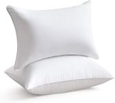 Oubonun 16 x 24 Pillow Inserts (Set