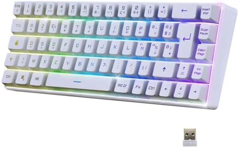 EMPIRE GAMING - K508 Clavier Gaming Sans Fil Compact TKL 65% (AZERTY FR) - via Bluetooth / 2.4G/ Type-C - pour PS4/PS5/PC/Mac -Rétroéclairage RGB - 68 Touches - 23 Touches Anti-Ghosting - Blanc (2024)