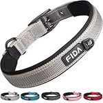 Fida Padded Dog Collar, Reflective Strong Dog Collar with Double-Layer Webbing, Adjustable Heavy Duty Dog Collar with Metal Buckle for Medium Dogs, Grey