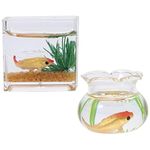 NUOBESTY Mini Fish Bowl Dollhouse Miniature Aquarium Small Glass Goldfish Bowl for Fairy Tale Landscape Garden Ornament Dollhouse Decoration Accessories