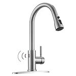 WEWE Touchless Kitchen Faucet with 