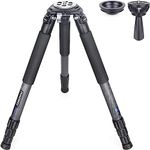 Carbon Fiber Tripod-LT364C-Small Size RT90C Professional Heavy Duty Tripods Stable Compact Stand with 75mm Bowl Adapter for Video Camera Bird Photography DSLR 36mm Tube 77.2lb/35kg Load, No Mid-column