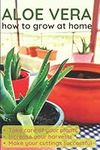 ALOE VERA: HOW TO GROW ALOE VERA AT HOME