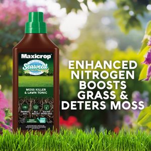 Maxicrop Moss Killer & Lawn Tonic 1L – Fast-Acting Seaweed Lawn Care
