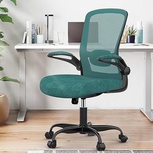 Office Chair, Ergonomic Desk Chair with Adjustable Lumbar Support, High Back Mesh Computer Chair with Flip-up Armrests-BIFMA Passed Task Chairs, Executive Chair for Home Office