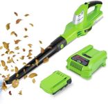 Tarlido Leaf Blower Cordless with 2