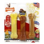 Nylabone Tough Dog Chew Toy Bones, BBQ Chicken/Corn on the Cob/Ice Cream, Variety Pack, 3-Piece, S, For Dogs Up To 11 kg