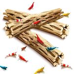 SunGrow Natural Cholla Wood, Aquarium Decoration and Chew Toys for Small Pets, Artistic Home-Decor, Long Lasting Driftwood, 3 Pieces