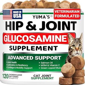 YUMA'S Cat
