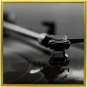 Gold Music Album Frame - Made To Display Vinyl LP Covers 12.5" x 12.5" - Brushed Aluminum Finish - Hanging Hardware Installed with No Assembly Required - Easy to Hang - For Any Record Cover 33 RPM