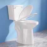 Simple Project 21 Inch High Toilet 