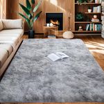 TOLORD Area Rugs for Bedroom Living Room, 3x5 Ft Upgrade Anti-Skid Durable Fluffy Fuzzy Shag Shaggy Carpet Soft Plush Furry Bedside Rug, Indoor Floor Rug for Kids Girls Boys for Nursery/Living Room