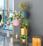 neumark impex Iron Indoor Outdoor Bedroom Home And Office Planter Pot Tall Stand With Golden 75 Cm (Multicolorfloor Mount, Corner Shelf)