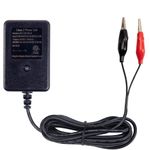 Battery Charger, 12V 1A Portable Lead Acid Battery Smart Charger With Alligator Clips